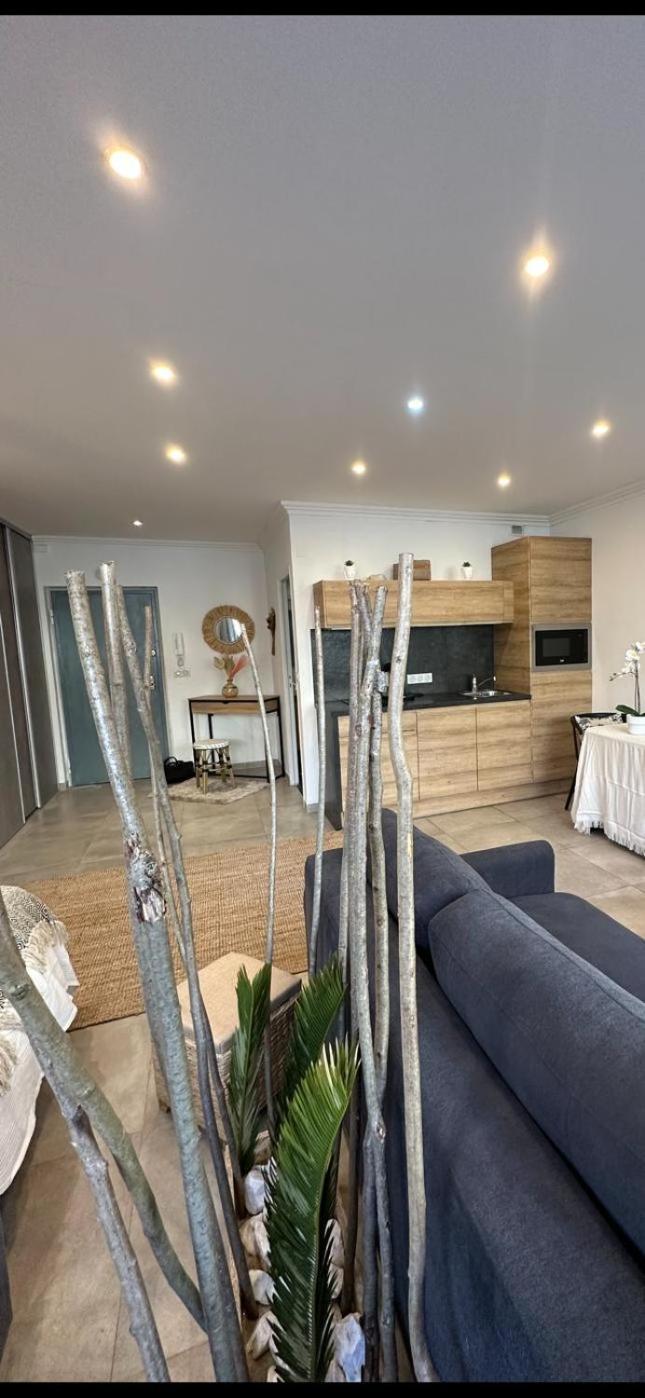 Grand Studio Cosy Cannes Centre Buitenkant foto